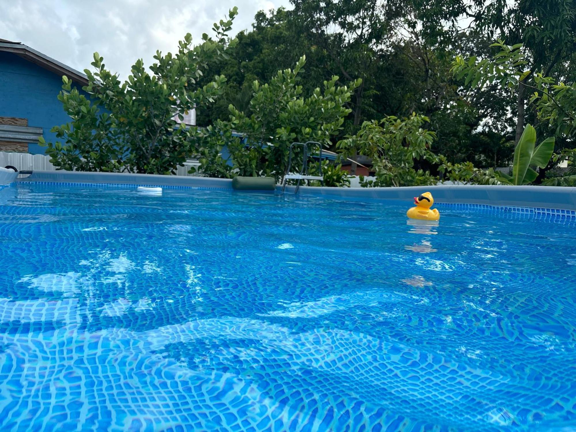 Hotel Mini House Oasis Miami Springs Exteriér fotografie